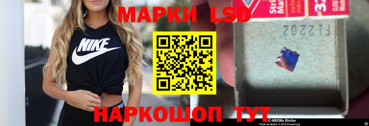 МЕГА как войти  ЛСД экстази ecstasy  Михайловск  ЛСД экстази  Вход с VPN  Лсд 25 экстази кислота 